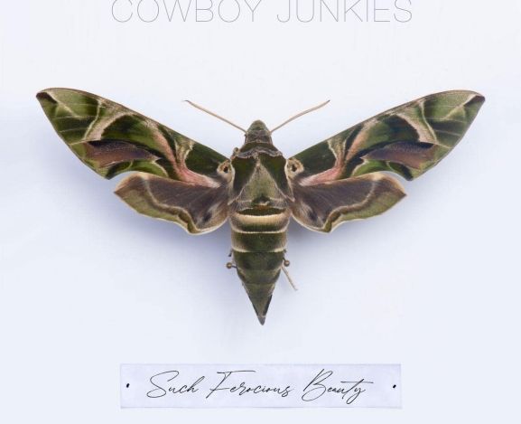 Cowboy Junkies Sublimely Deal With Loss on Such Ferocious Beauty