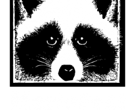 MerleFest, Presented by Window World, Announces Full Lineup