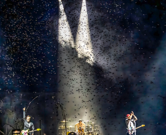 Watching, Waiting, Commiserating with blink-182 in Charlotte