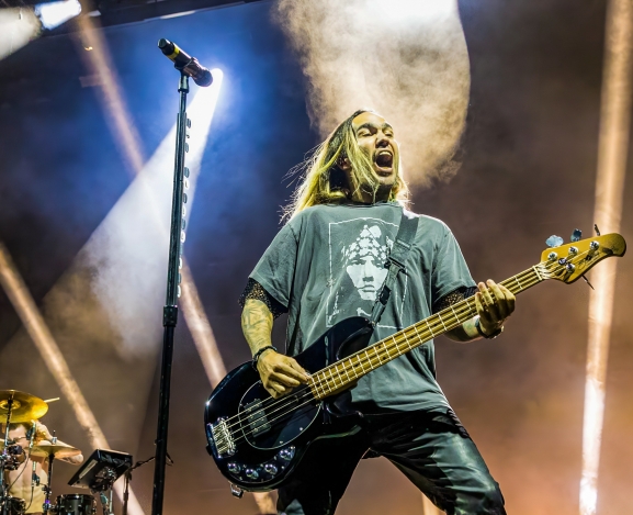 Thanks For The Memories, Fall Out Boy!