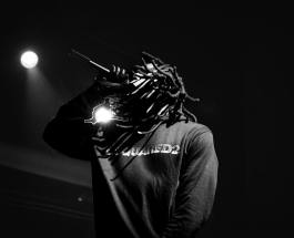 4 MY DOGS in the 215