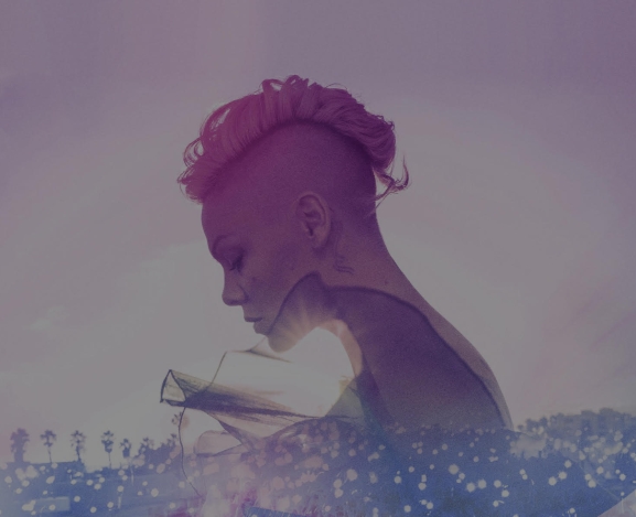 P!nk’s Summer Carnival Is Traveling the World